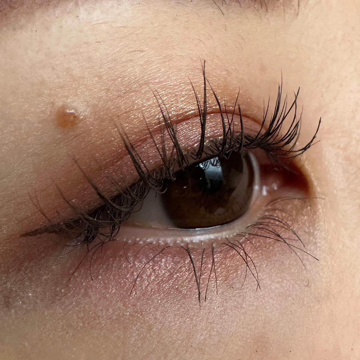 アイ カラー クォード/TOM FORD BEAUTY/アイシャドウパレットを使ったクチコミ(2枚目)