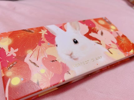 エクスプローラ12色 動物アイシャドウパレット/PERFECT DIARY/アイシャドウパレットを使ったクチコミ(1枚目)