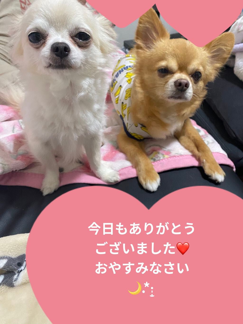 Fruit Sheet Mask /TONYMOLY/シートマスク・パックを使ったクチコミ(6枚目)