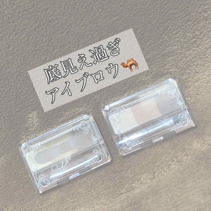 ノーズ&アイブロウパウダー/CEZANNE/パウダーアイブロウを使ったクチコミ(1枚目)