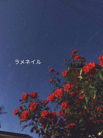 カラフルネイルズ/キャンメイク/マニキュアを使ったクチコミ(1枚目)