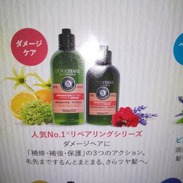 ファイブハーブスリペアリングシャンプー／コンディショナー/L'OCCITANE/シャンプー・コンディショナーを使ったクチコミ（2枚目）