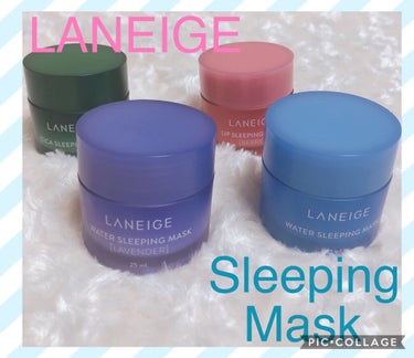 ウォータースリーピングパック ラベンダー/LANEIGE/フェイスクリームを使ったクチコミ（1枚目）