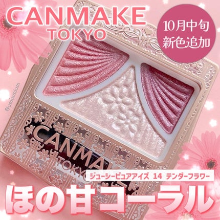 ジューシーピュアアイズ/キャンメイク/アイシャドウパレットを使ったクチコミ(1枚目)