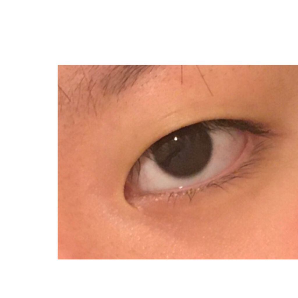 クイックラッシュカーラー/キャンメイク/マスカラ下地を使ったクチコミ（1枚目）