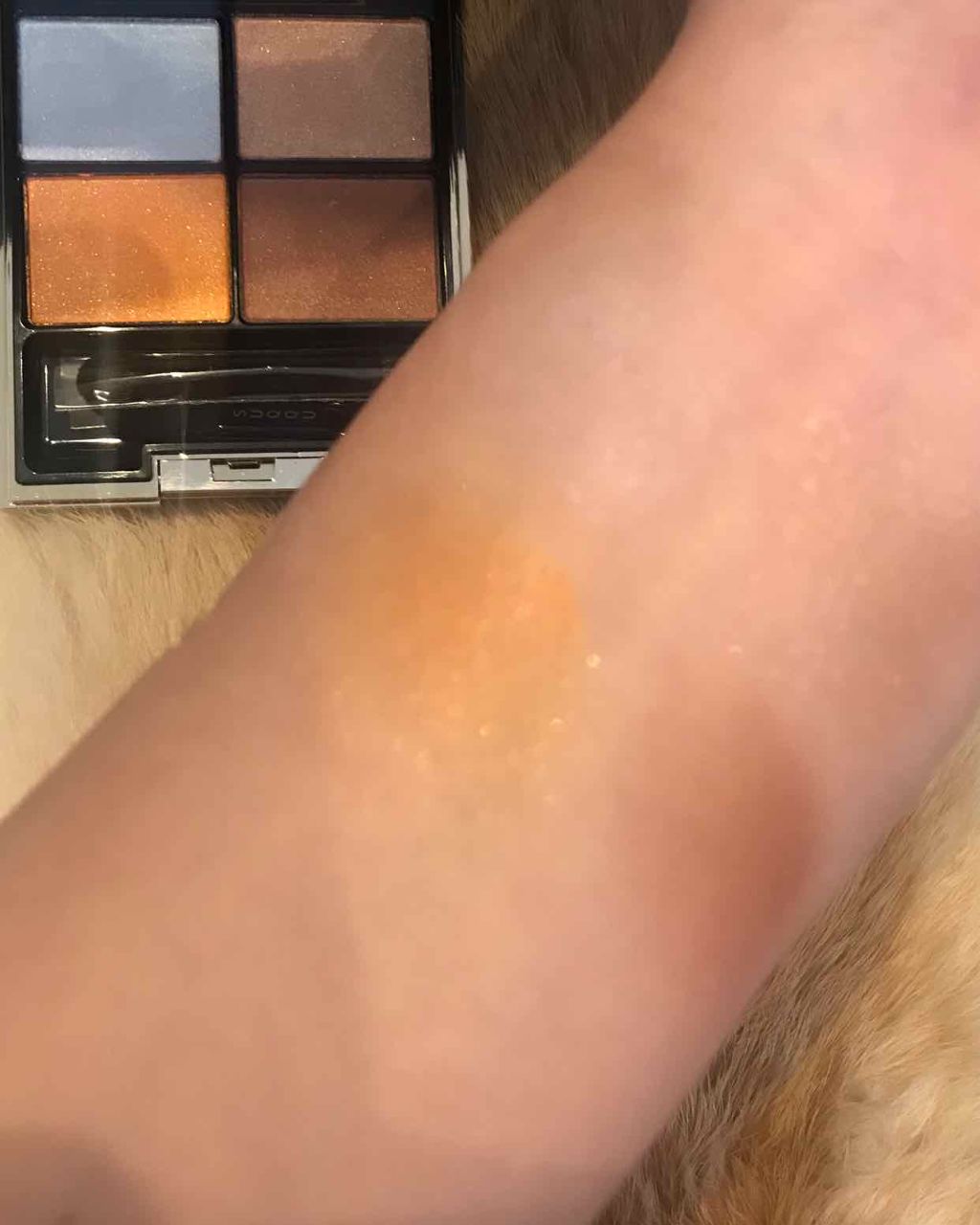 デザイニング カラー アイズ/SUQQU/アイシャドウパレットを使ったクチコミ(2枚目)