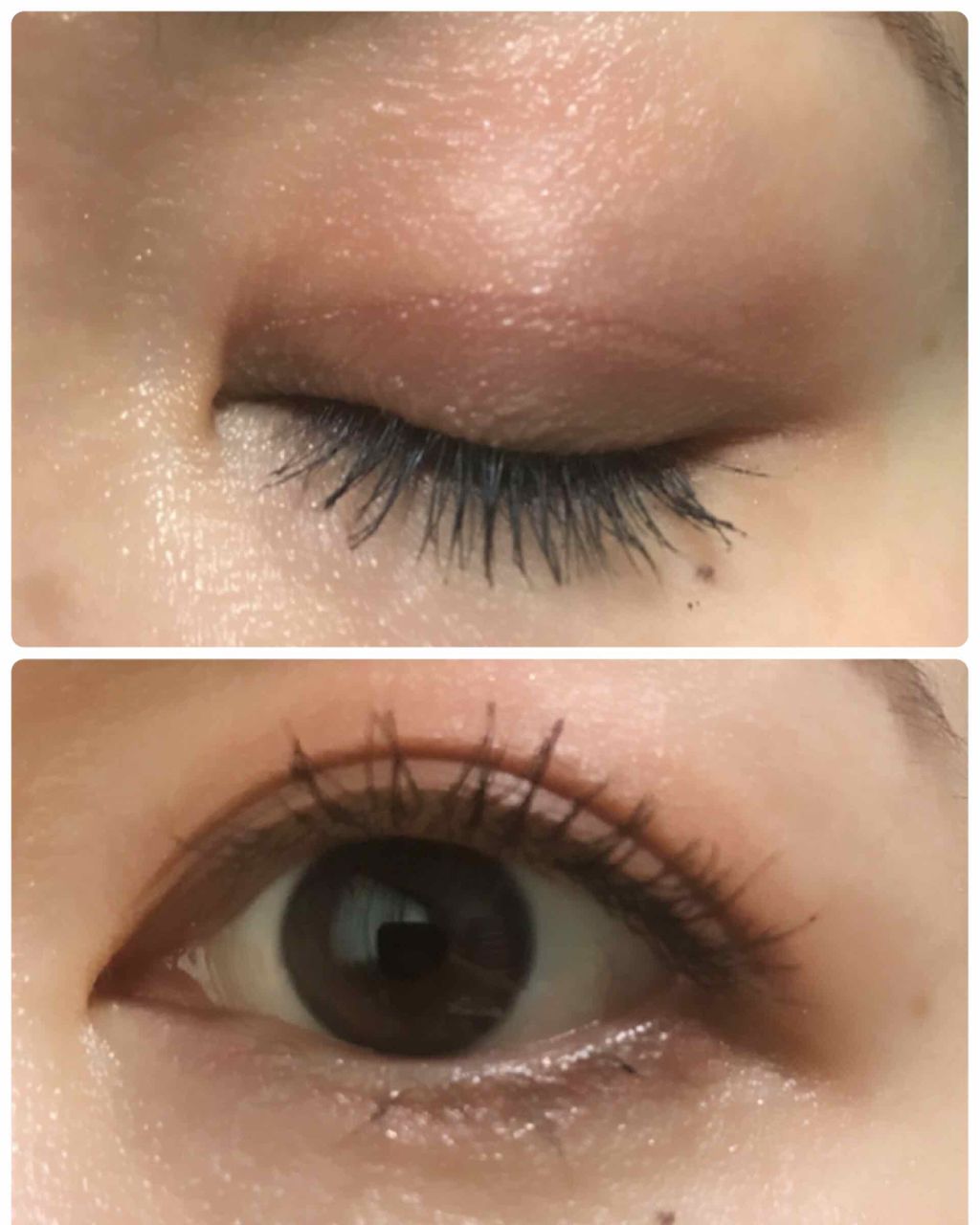 ナーズイスト ウォンテッド アイシャドーパレット/NARS/アイシャドウパレットを使ったクチコミ(3枚目)