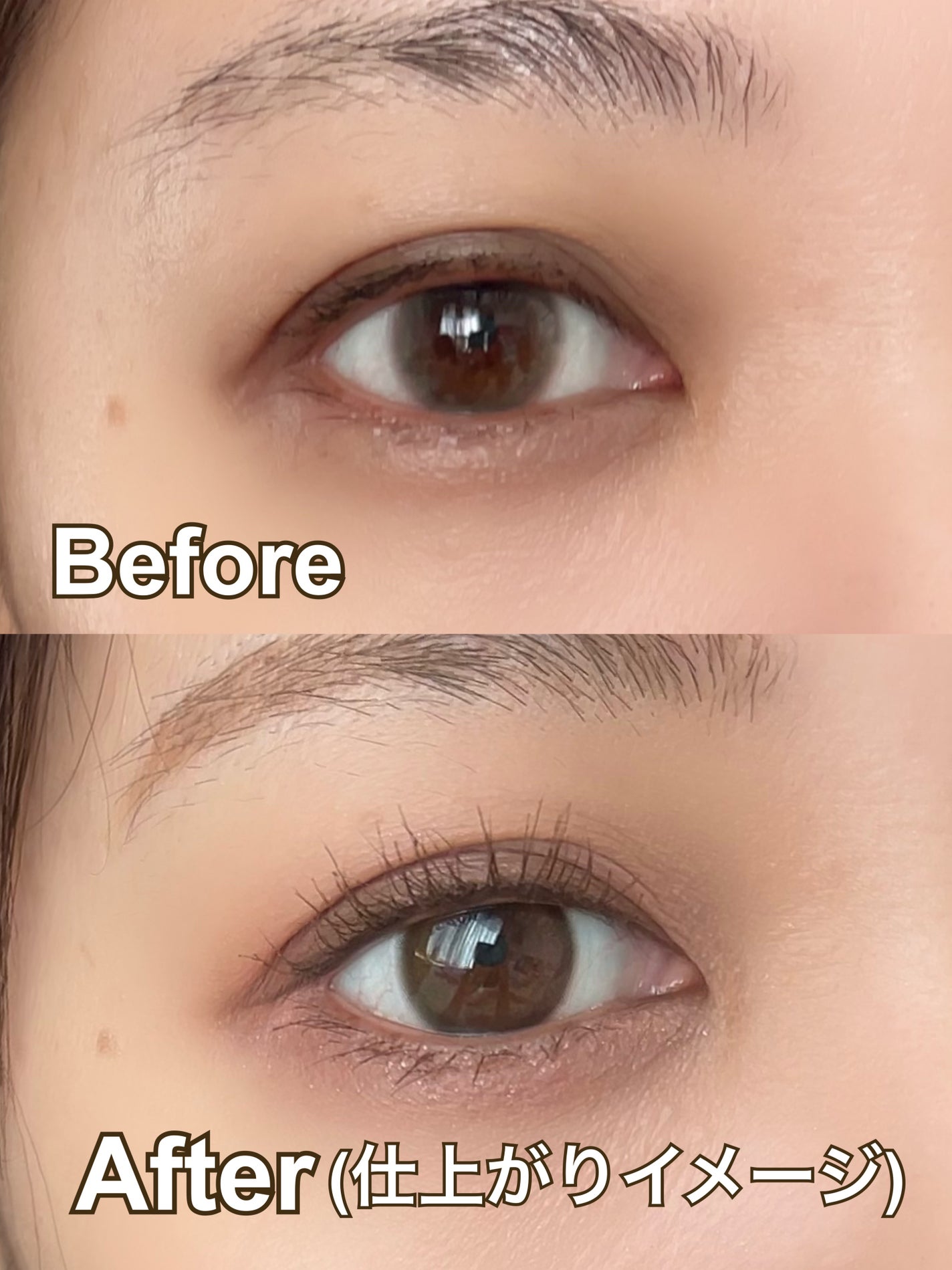 目元チュートリアルアイパレット/Colorgram/アイシャドウパレットを使ったクチコミ(8枚目)