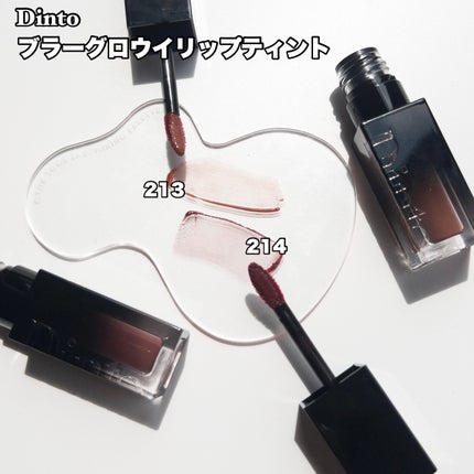 ブラーグロイリップティント/Dinto/リップティントを使ったクチコミ(5枚目)