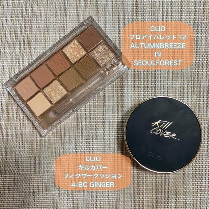 プロ アイ パレット/CLIO/アイシャドウパレットを使ったクチコミ(2枚目)