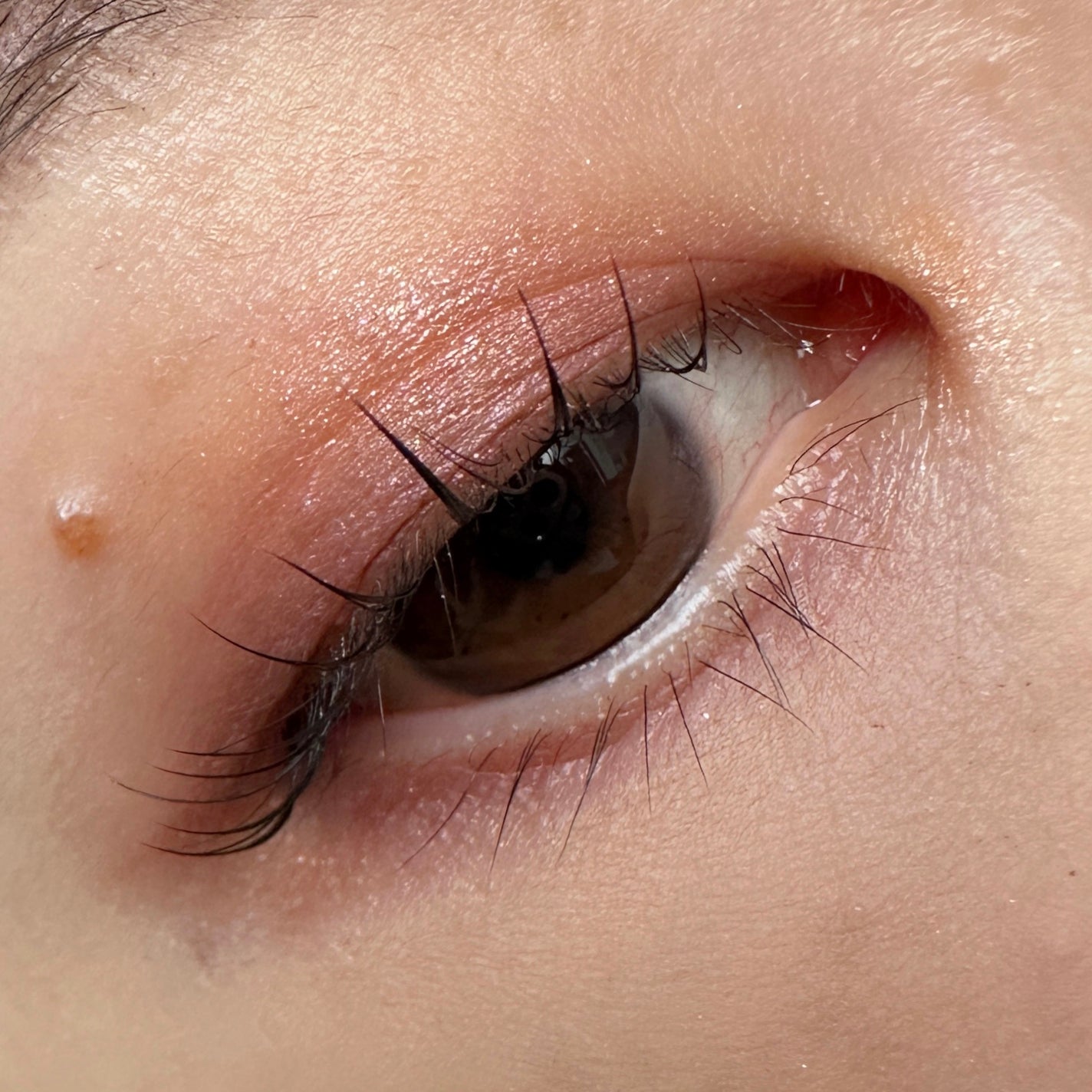 クリーミータッチライナー/キャンメイク/ジェルアイライナーを使ったクチコミ(3枚目)