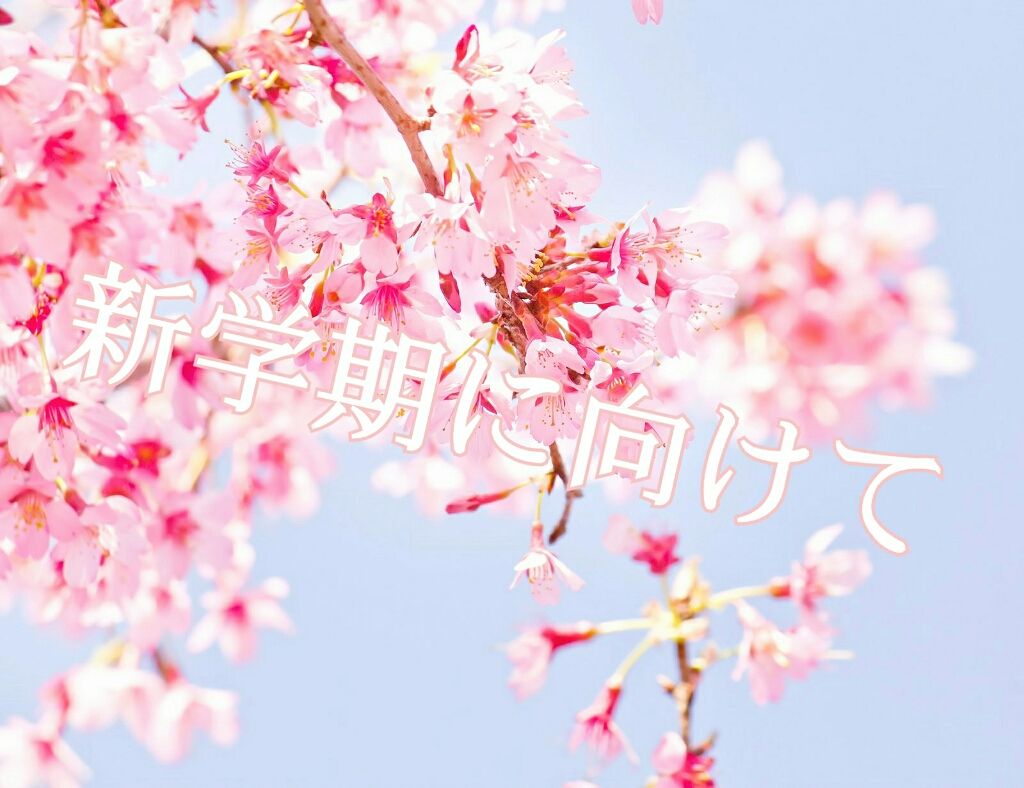 フレアリングカールマスカラ/キャンメイク/マスカラを使ったクチコミ(1枚目)