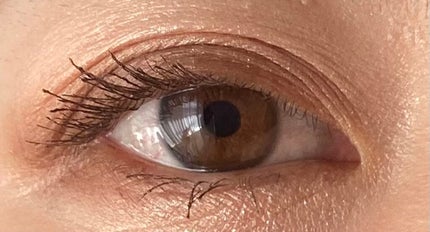 フォトレディ ディファイン & シェード/REVLON/アイシャドウパレットを使ったクチコミ(7枚目)