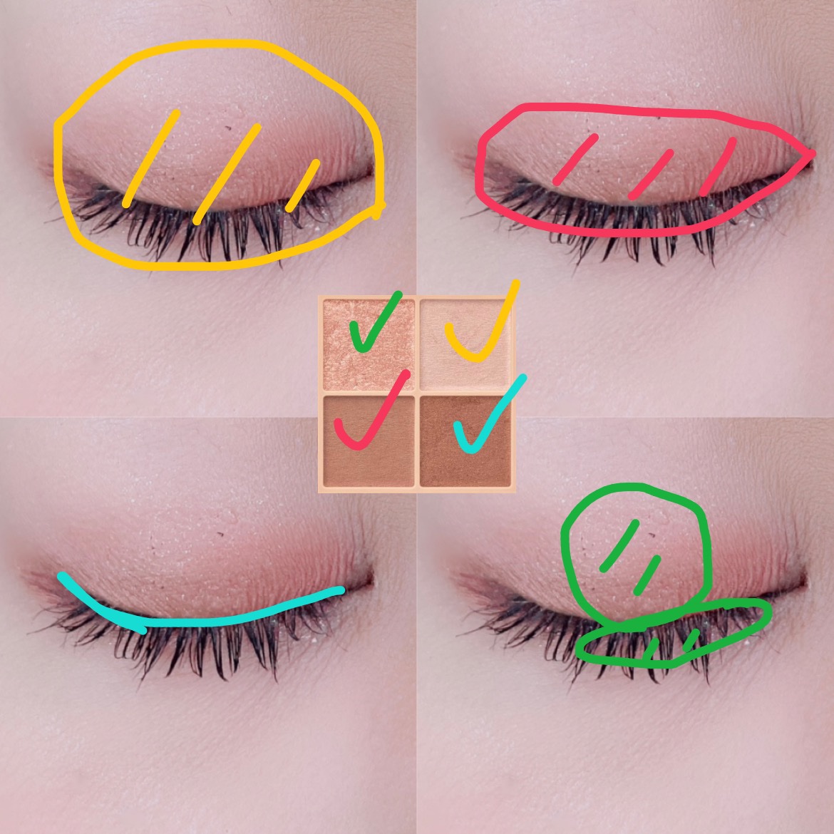 ベージュトーンアイシャドウ/CEZANNE/アイシャドウパレットを使ったクチコミ（2枚目）