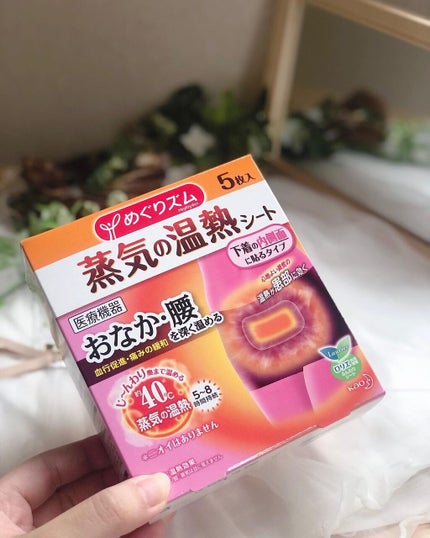 蒸気の温熱シート 下着の内側面に貼るタイプ/めぐりズム/その他を使ったクチコミ(1枚目)