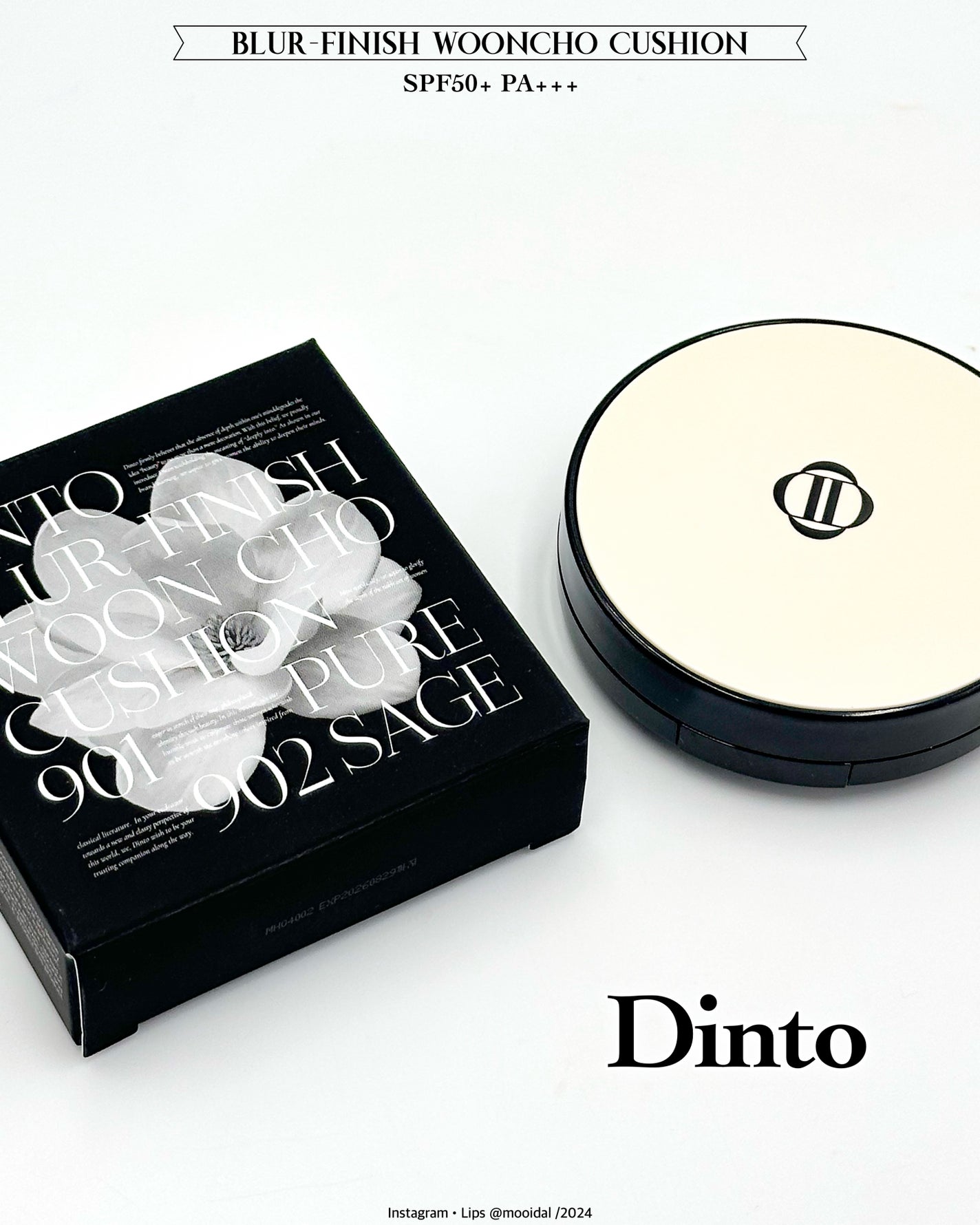 ブラーフィニッシュ雲楚クッション/Dinto/クッションファンデーションを使ったクチコミ(1枚目)