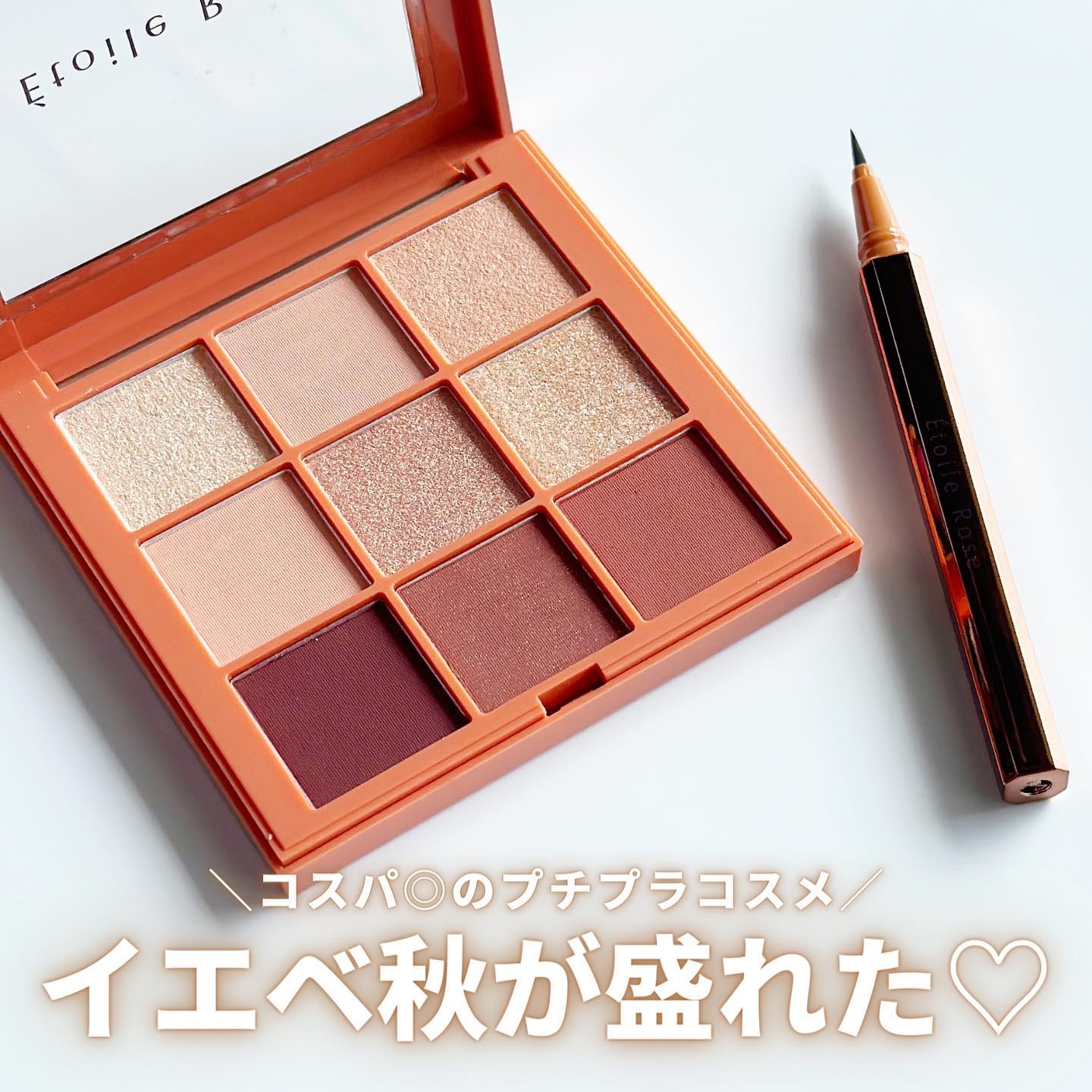 アイライナー 02 マロンブラウン/Étoile Rose/リキッドアイライナーを使ったクチコミ（1枚目）