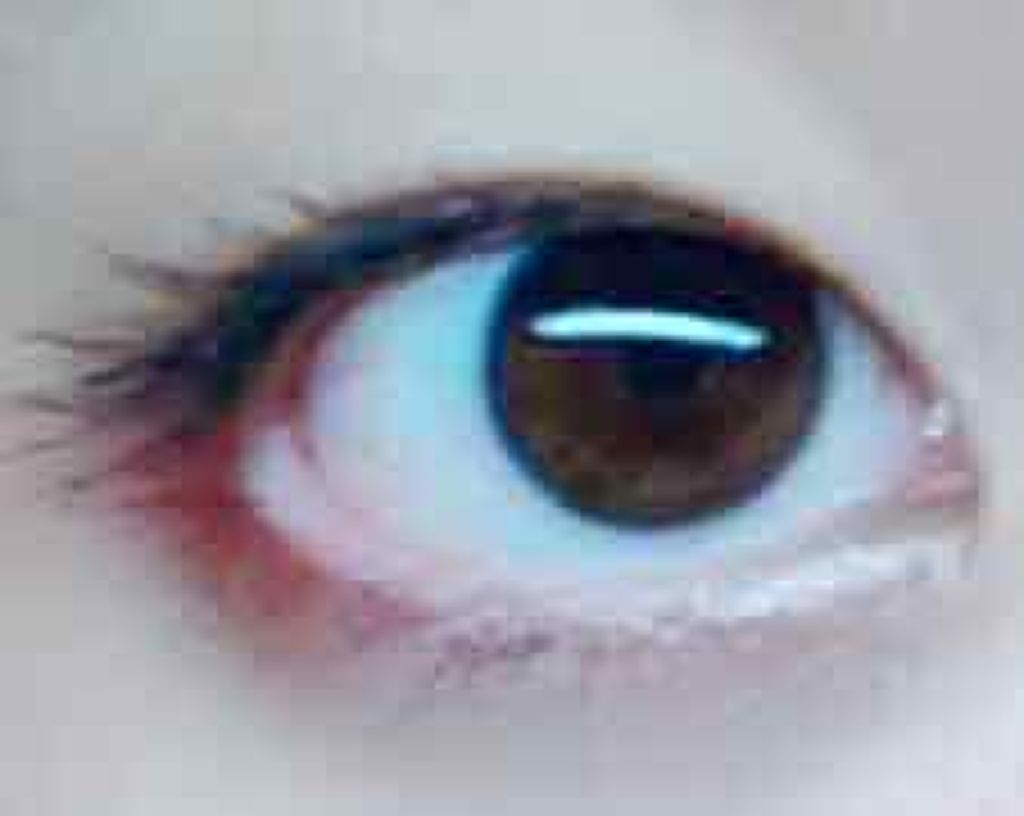 【旧品】パーフェクトスタイリストアイズ/キャンメイク/アイシャドウパレットを使ったクチコミ（1枚目）