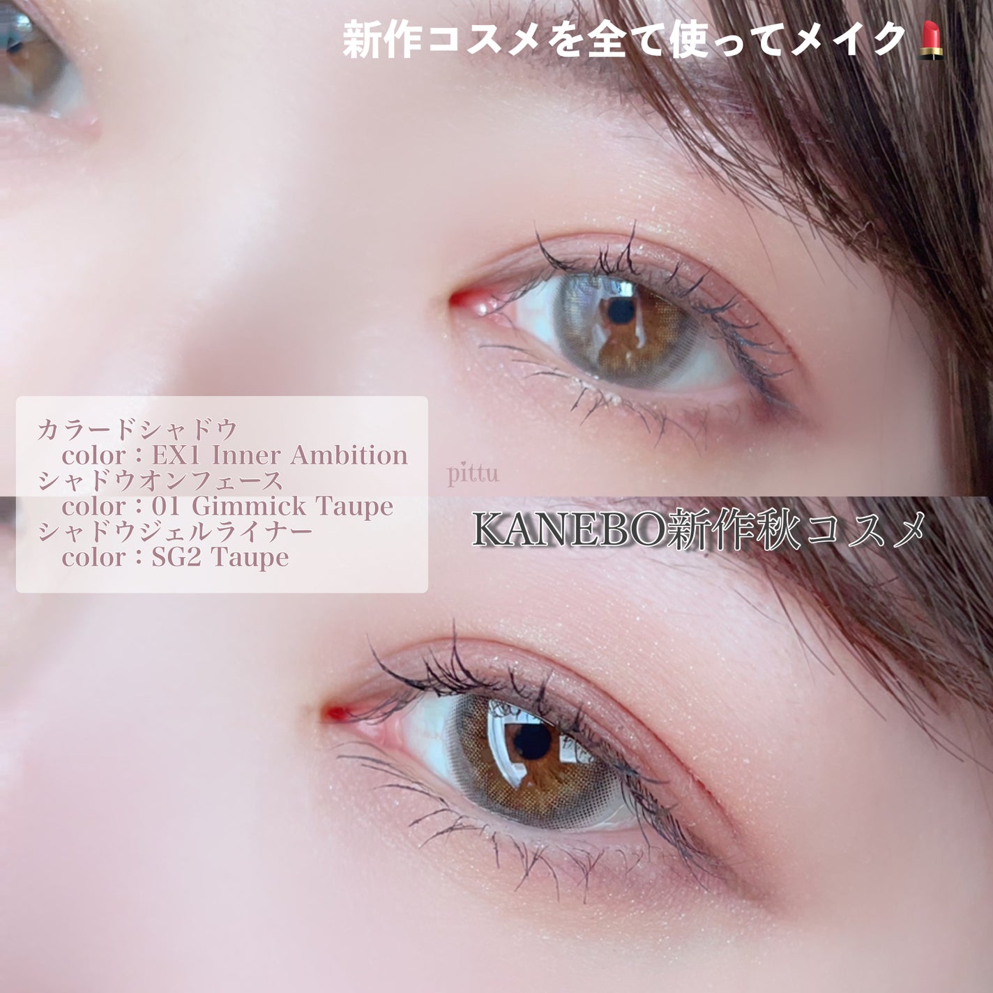 カネボウ Nールージュ/KANEBO/口紅を使ったクチコミ(8枚目)