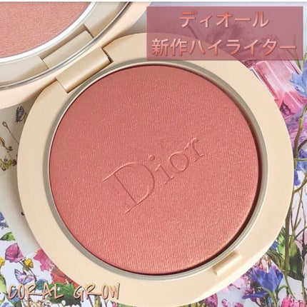 ヴィセ リシェ アイブロウパウダー/Visée/パウダーアイブロウを使ったクチコミ(6枚目)