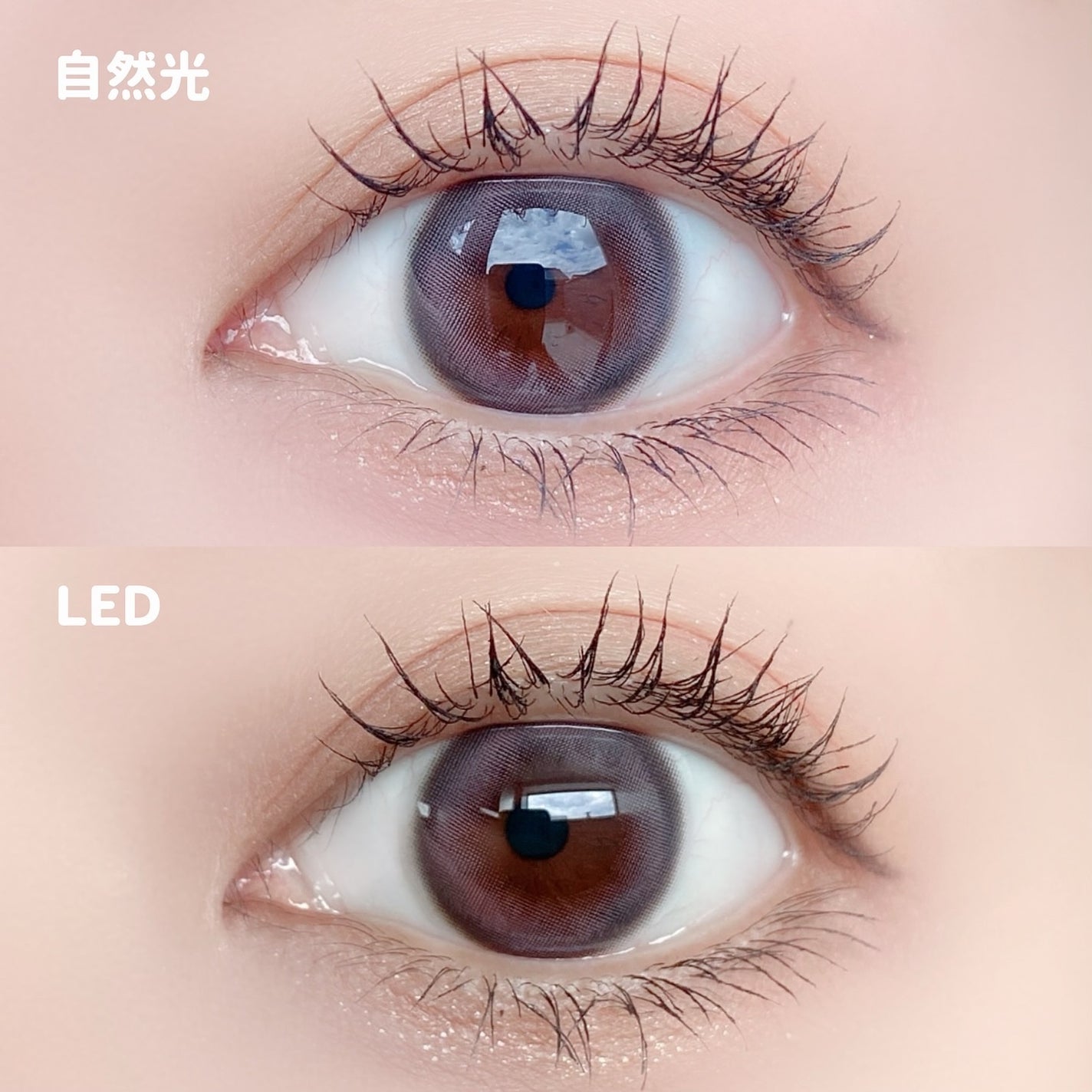 Tweed Kristin 1day/Hapa kristin/ワンデー(1DAY)カラコンを使ったクチコミ(3枚目)