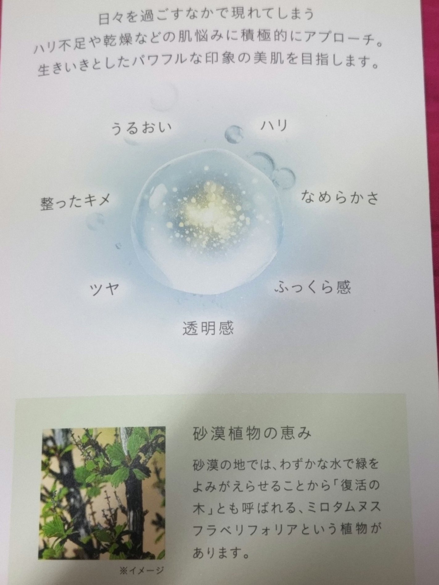 エッセンスローション アルティメイト/IPSA/化粧水を使ったクチコミ(3枚目)