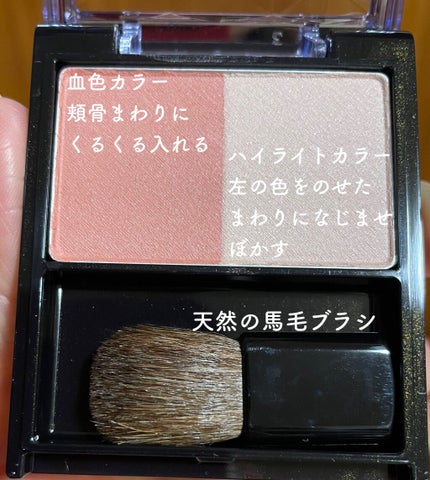 フォルミングチークス/インテグレート/パウダーチークを使ったクチコミ(2枚目)