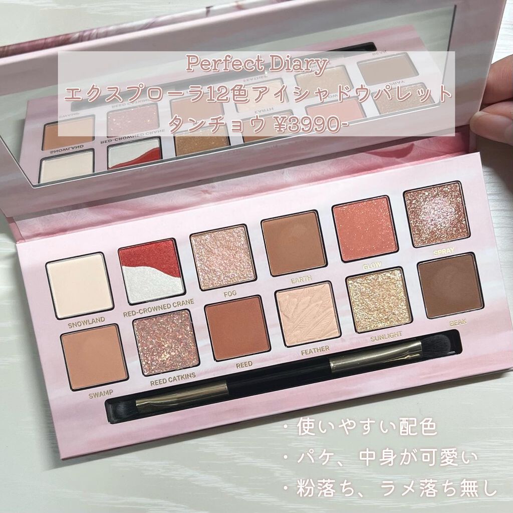 ノーズ＆アイブロウパウダー/CEZANNE/パウダーアイブロウを使ったクチコミ（2枚目）