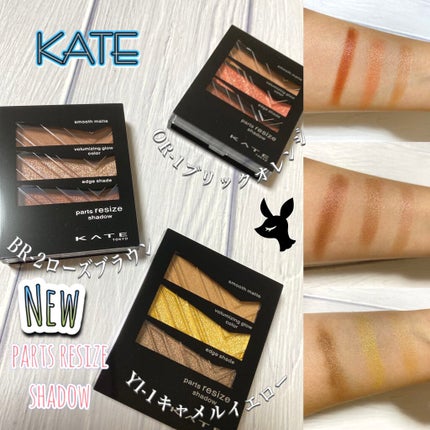 パーツリサイズシャドウ/KATE/アイシャドウパレットを使ったクチコミ(1枚目)