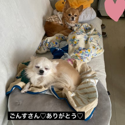 まつ毛パーマキット/LEPOREM/その他キットセットを使ったクチコミ(9枚目)