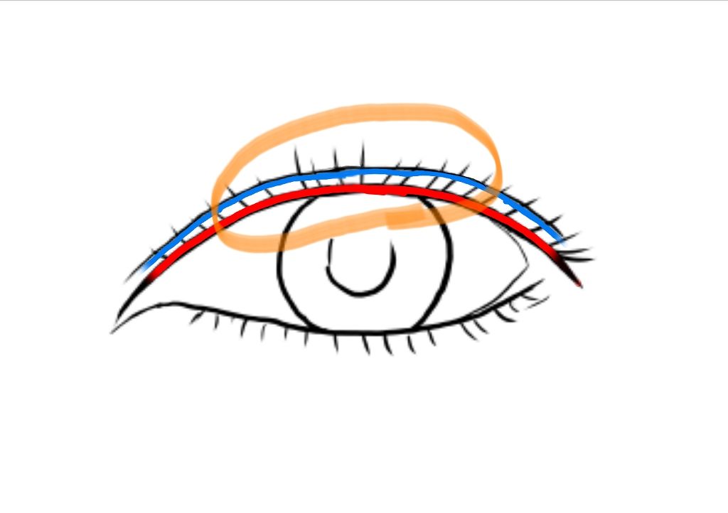 メザイク クリップ カッター ファイバー専用カッター/メザイク/二重まぶた用アイテムを使ったクチコミ(2枚目)