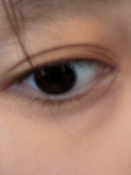 ライティングリキッドアイズ/キャンメイク/リキッドアイシャドウを使ったクチコミ(1枚目)