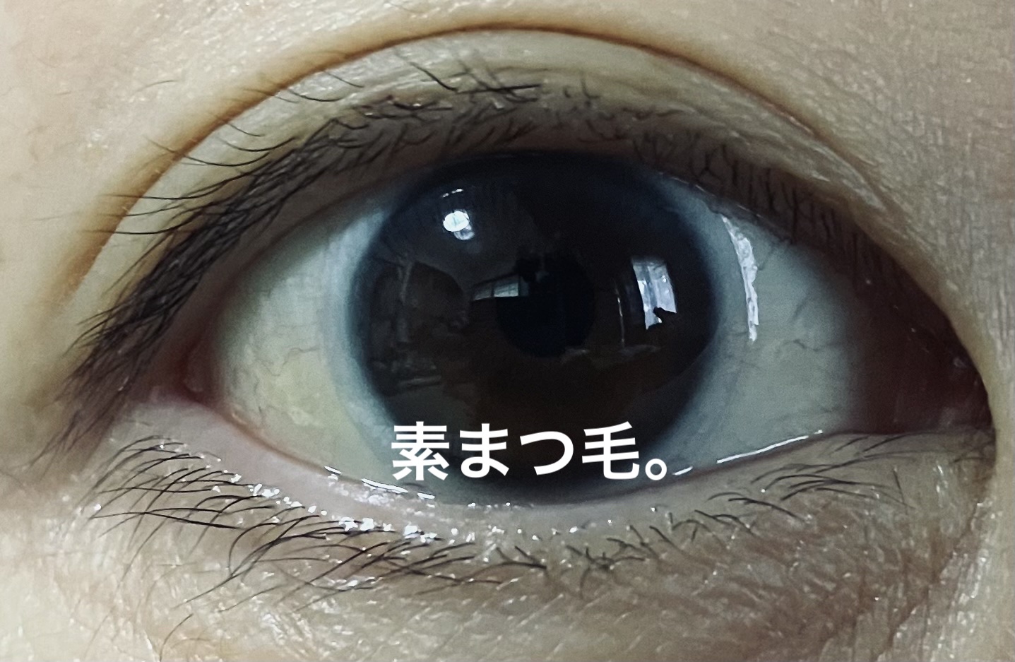 パーフェクトエクステンション マスカラ for カール/D-UP/マスカラを使ったクチコミ（2枚目）