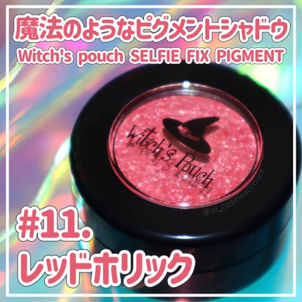 セルフィーフィックスピグメント/Witch's Pouch/単色アイシャドウを使ったクチコミ(1枚目)