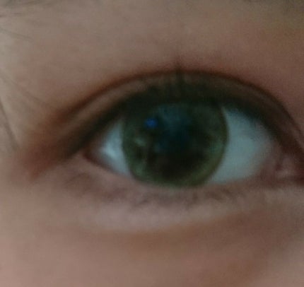 メイクアップアイシャドウフラットスタイル/ミラクルロマンス/アイシャドウパレットを使ったクチコミ(2枚目)