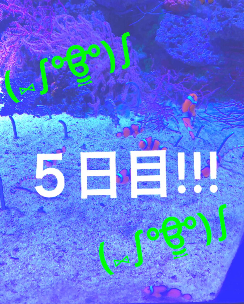 あかり on LIPS 「やばい😱あともう少しで身体測定!?終わった…。【今日の筋トレ】..」(1枚目)