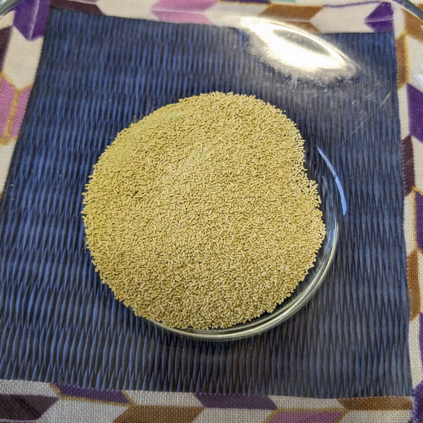 生きてる酵母+食物繊維/生きてる酵母シリーズ/ボディサプリメントを使ったクチコミ(4枚目)