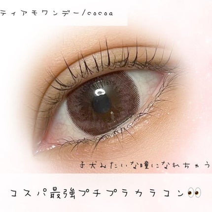 TeAmo 1DAY/TeAmo/ワンデー(1DAY)カラコンを使ったクチコミ(1枚目)
