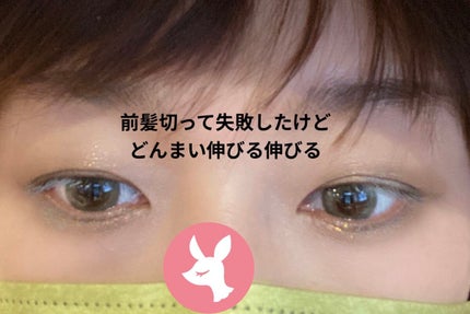 スキルレスライナー/LUMIURGLAS/リキッドアイライナーを使ったクチコミ(4枚目)