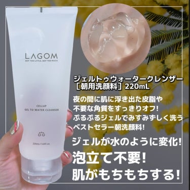 ラゴム ジェルトゥウォーター クレンザー(朝用洗顔)/LAGOM /洗顔フォームを使ったクチコミ（3枚目）