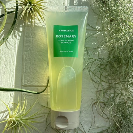 ローズマリー スカルプ スクラブ/AROMATICA/ヘッドスクラブを使ったクチコミ(2枚目)