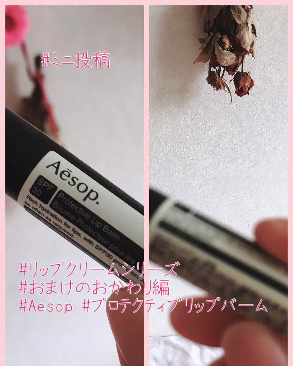 プロテクティブリップバームSPF30/Aesop/リップバームを使ったクチコミ(1枚目)