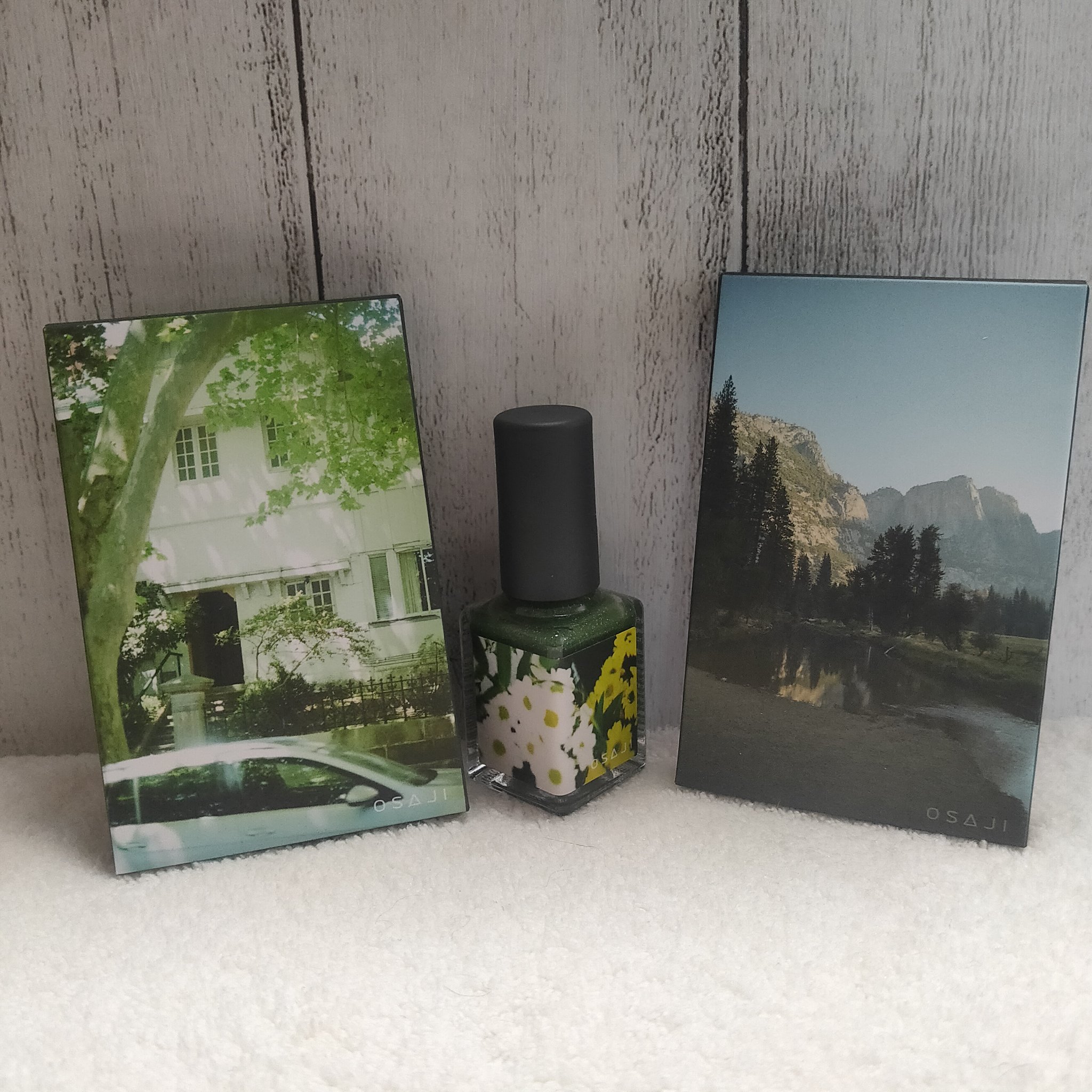 ニュアンス アイシャドウパレット H11 Ihoujin〈異邦人〉/OSAJI/アイシャドウパレットを使ったクチコミ（1枚目）