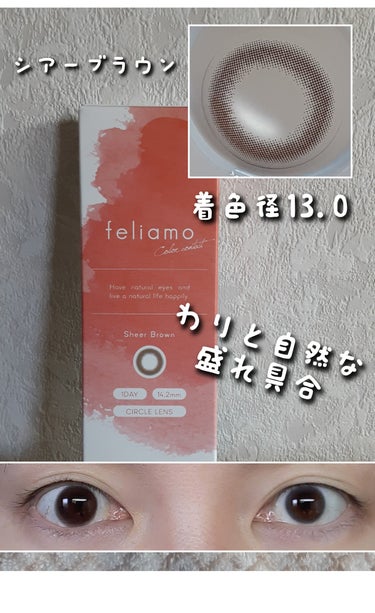 feliamo feliamo 1dayのクチコミ「feliamoのシアーブラウン、エスプレッソ、サクラムースの3色を比較してみました。
ブラウ.....」（2枚目）