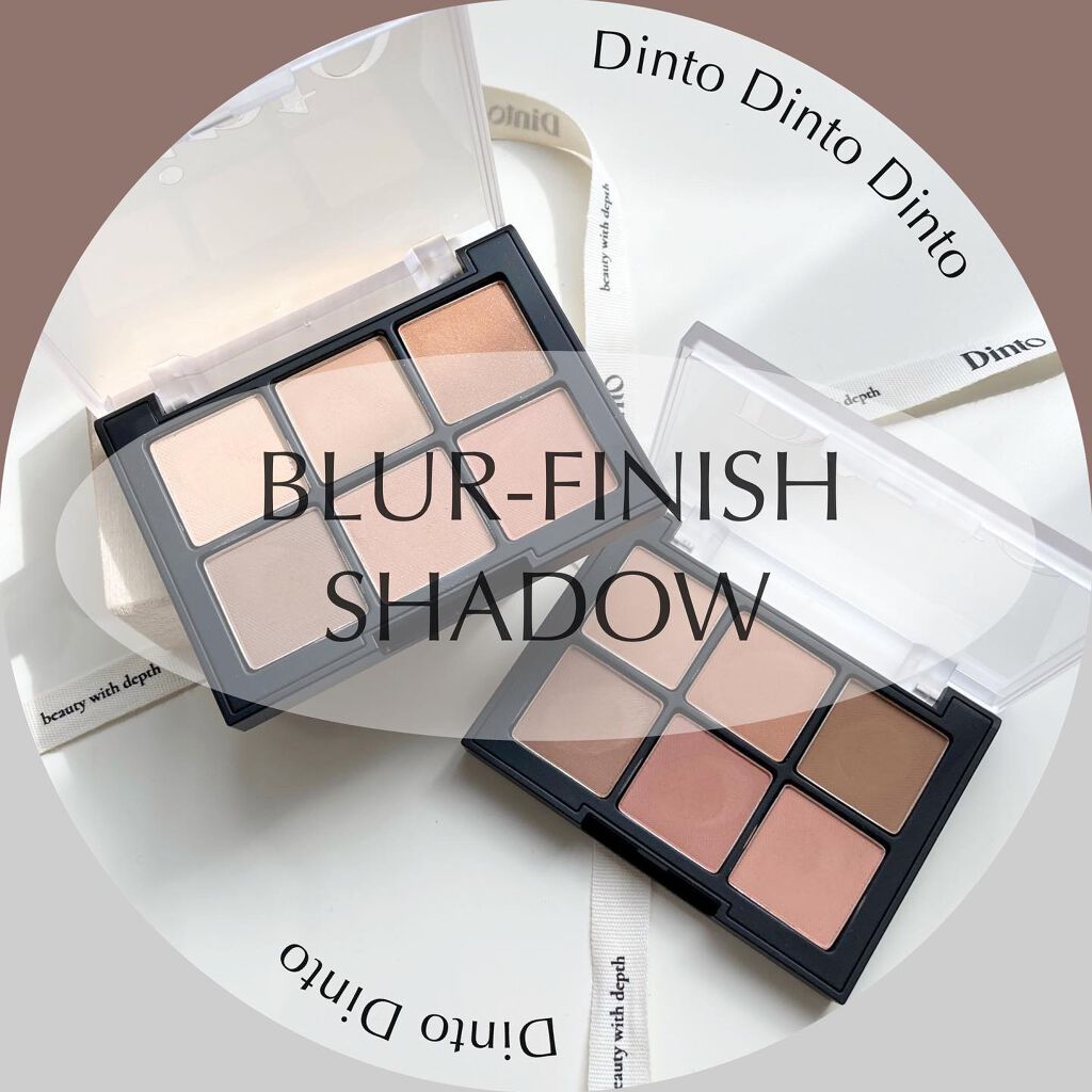 ブラーフィニシュシャドウパレット/Dinto/アイシャドウパレットを使ったクチコミ（1枚目）