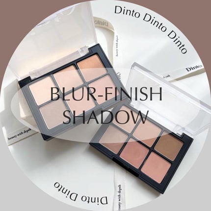 ブラーフィニシュシャドウパレット/Dinto/アイシャドウパレットを使ったクチコミ(1枚目)