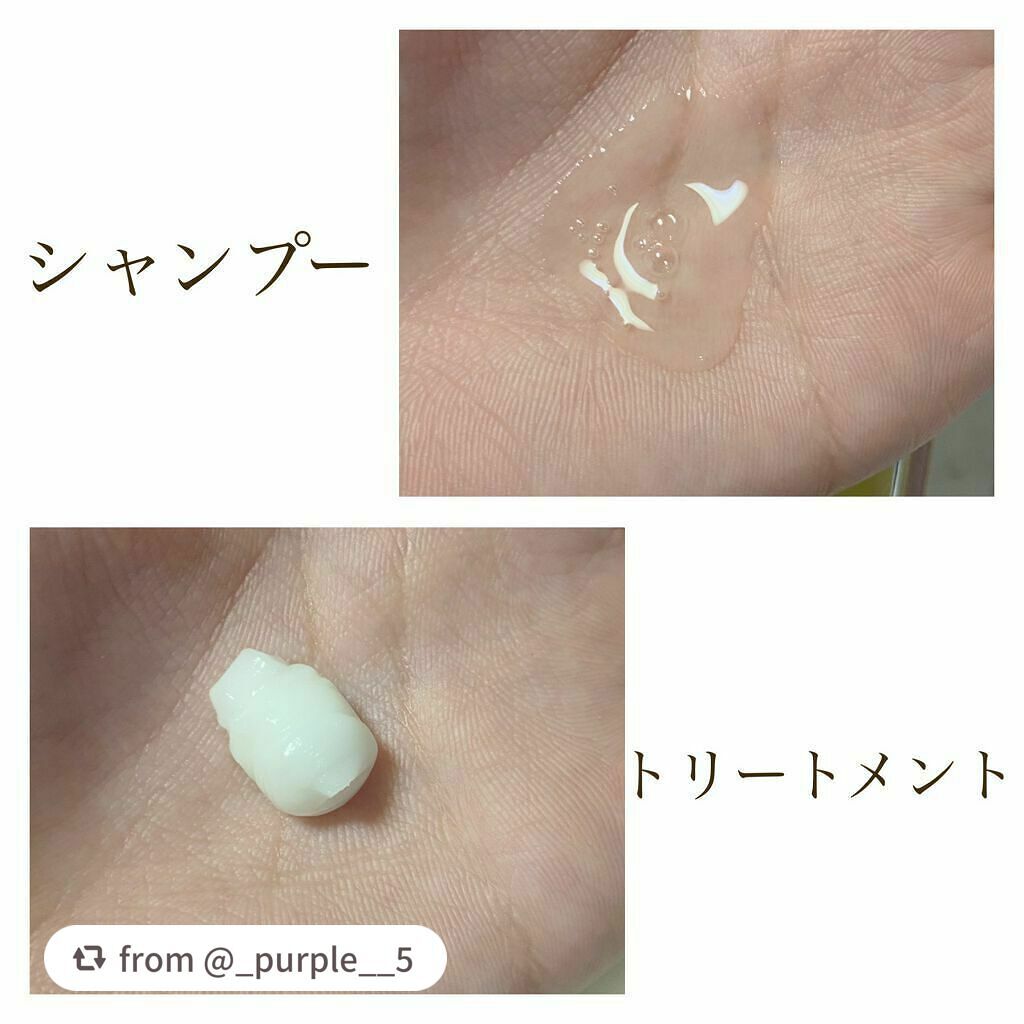 プルント モイストリッチ美容液シャンプー/モイストリッチリペア美容液トリートメント/Purunt./市販シャンプーを使ったクチコミ(2枚目)