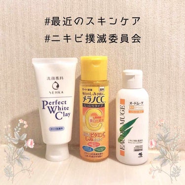 ○最近のスキンケア○


ニキビにお悩みのみなさん！
令和になったことだしスキンケア用品変えてみませんか😳



☑︎専科  パーフェクトホワイトクレイn

これは可もなく不可もなく、、、って感じです。