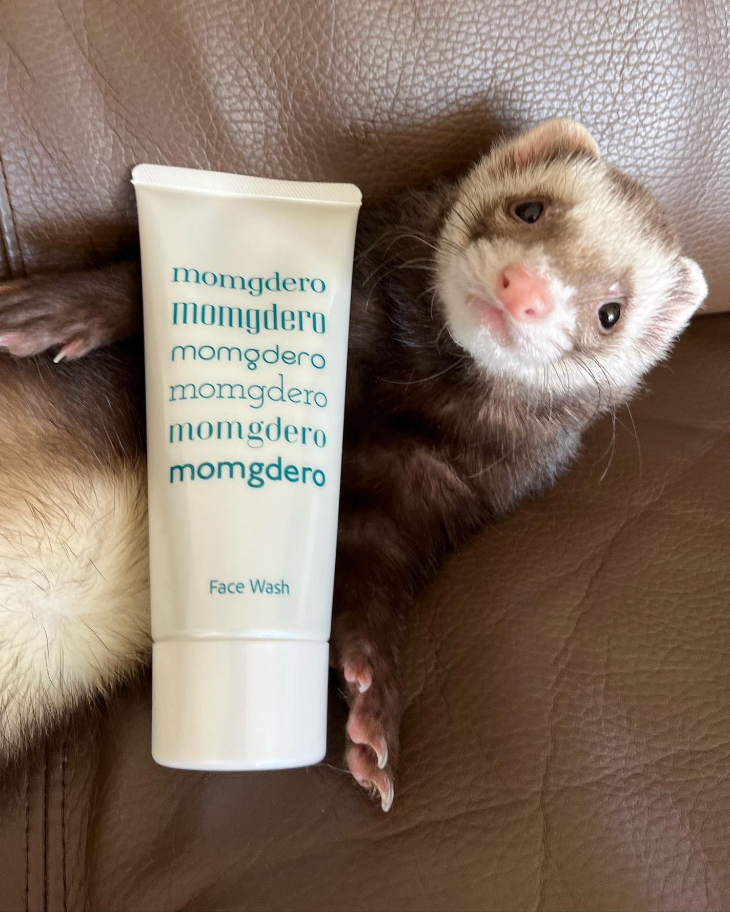 マームグデロ/百養美人/洗顔フォームを使ったクチコミ(2枚目)