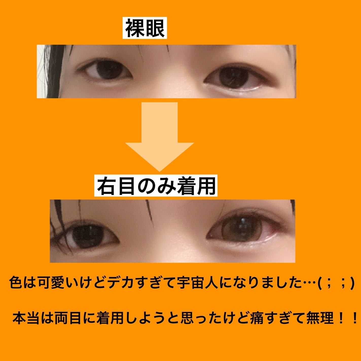 フラワーアイズ ワンデー/株式会社ビューフロンティア/ワンデー(1DAY)カラコンを使ったクチコミ(5枚目)